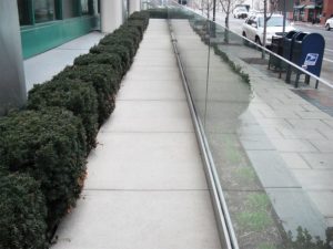 Beautiful picture of a finished concrete sidewalk in miami